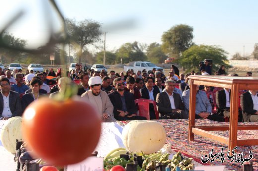 اولین جشنواره برداشت گوجه فرنگی با حضور دکتر میرزاد فرماندار پارسیان در پارسیان برگزار شد