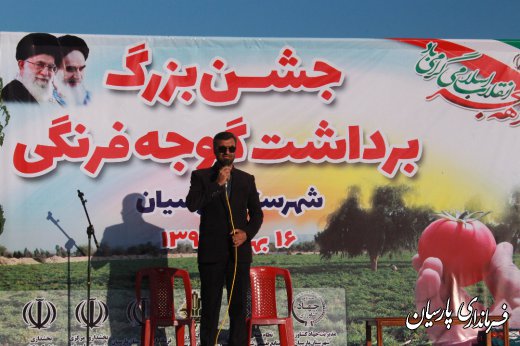اولین جشنواره برداشت گوجه فرنگی با حضور دکتر میرزاد فرماندار پارسیان در پارسیان برگزار شد