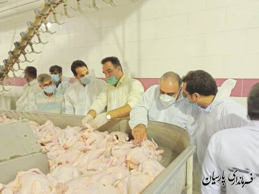 فرماندار پارسیان : نگرانی از بابت تأمین گوشت مرغ مورد نیاز مردم شهرستان وجود ندارد