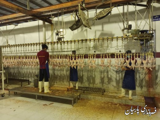فرماندار پارسیان : نگرانی از بابت تأمین گوشت مرغ مورد نیاز مردم شهرستان وجود ندارد