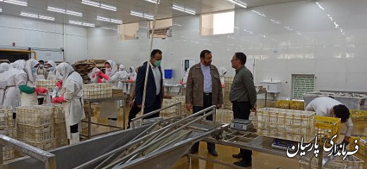 فرهنگ سالمی از چند واحد تولیدی واقع در شهرک صنعتی شهرستان پارسیان بازدید نمود